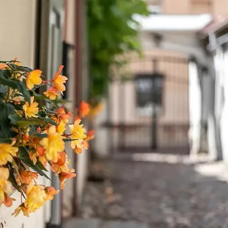In Oldtown #f Apartment Vilnius